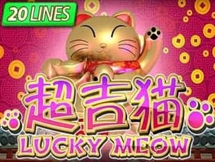 Lucky Meow icon
